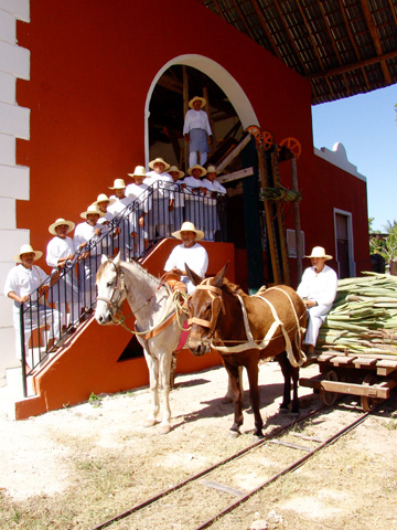 Cenote Hacienda San Lorenzo Oxman